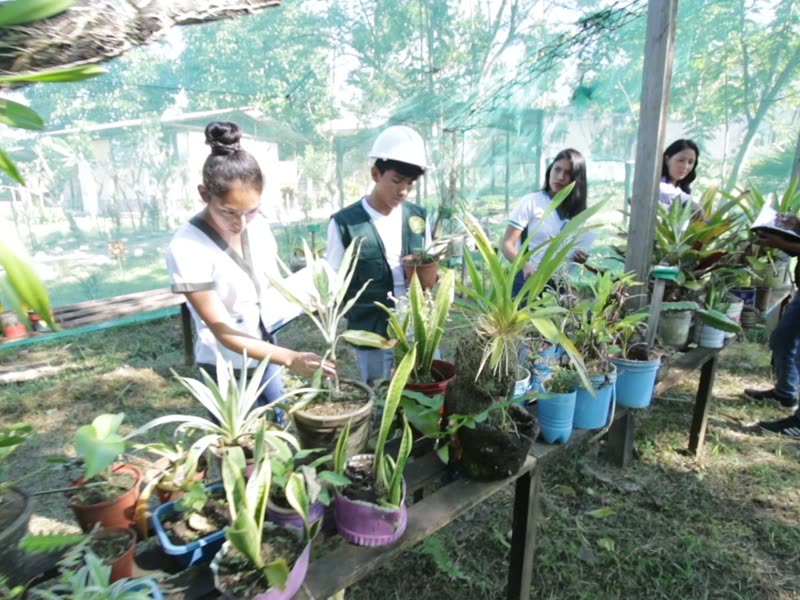 Ingeniería Forestal Tropical - UNCP