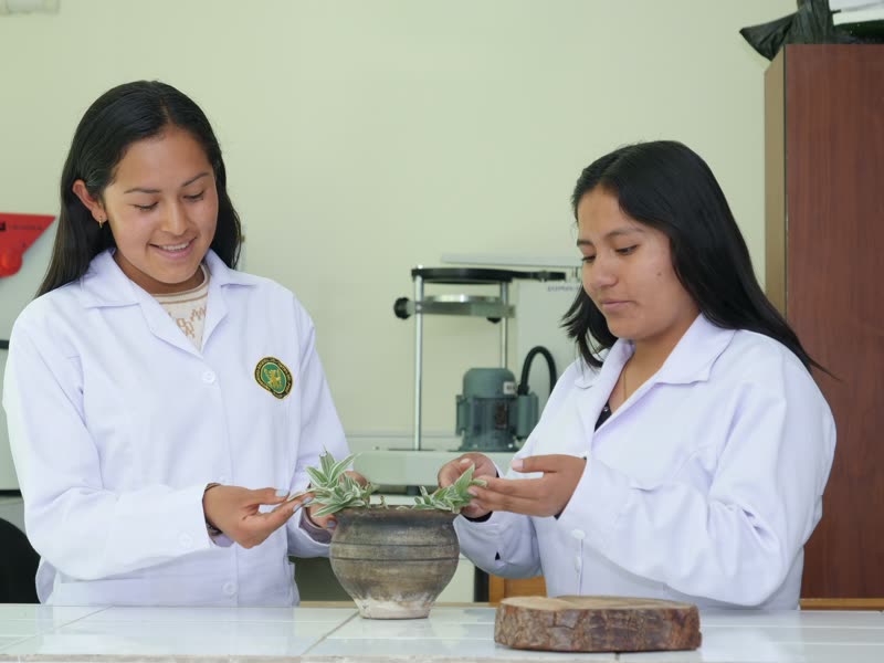 Ingeniería Forestal y Ambiental - UNCP