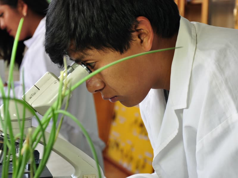 Ingeniería Industrias Alimentarias Tropical - UNCP